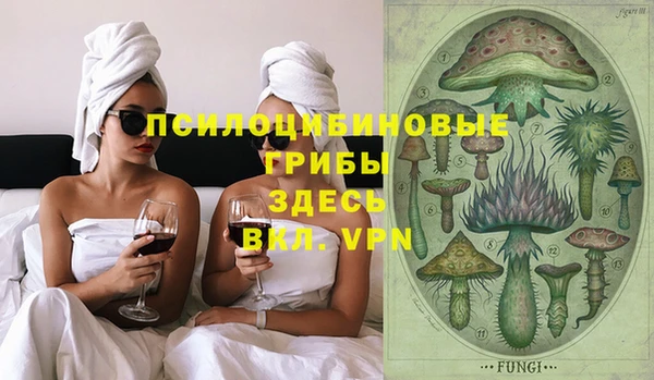 прущие крисы Арсеньев