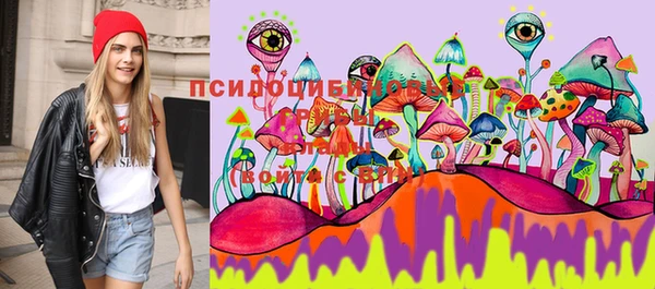 дмт Балабаново