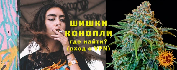 прущие крисы Арсеньев