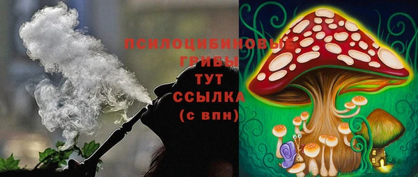 a pvp Аркадак